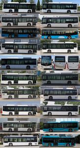 Foton  BJ6105EVCA56 Pure electric low entry city buses