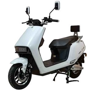 Tailing  TL1000DT51 Electric two wheeled motorcycle