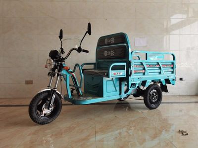 Chunpeng  CP1500DZH2 Electric tricycle