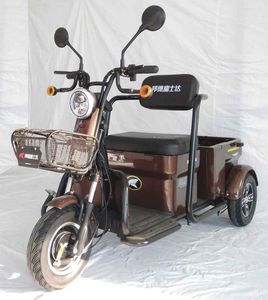 Bond Fujita FSD500DQZ3 Electric three wheeled light motorcycle