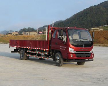 Platinum Jun  LFJ1130G2 Truck