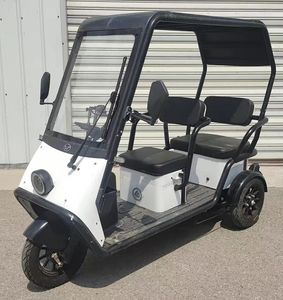 Wanshida  WSD1200DZK11 Electric tricycle