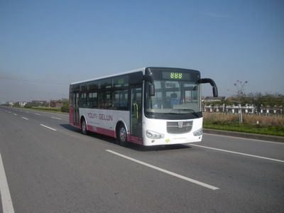 Friendship  ZGT6102N3G City buses