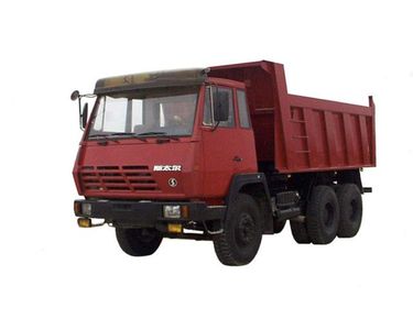 Star Steyr SX3322BM2941 Dump truck