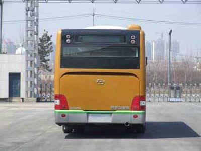 Wuzhoulong  SWM6110G City buses