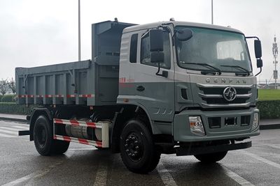 Hongyan  CQ3166AMDG381 Dump truck