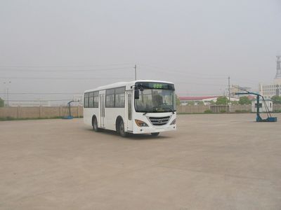 Yaxing  JS6981TA coach