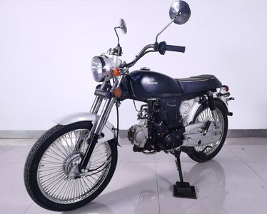 Xinyuan brand automobiles XY1253D Two wheeled motorcycles