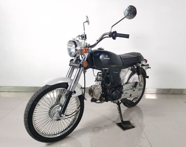 Xinyuan brand automobiles XY1253D Two wheeled motorcycles