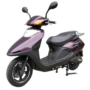 Tailing  TL800DQT21A Electric two wheeled light motorcycle