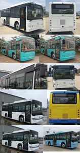 Jinlong  XMQ6850AGBEVL13 Pure electric city buses