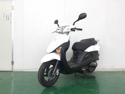 Specimen car BB50QT3 moped with two wheels 