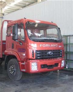 Foton  BJ1163VKPHKA Truck