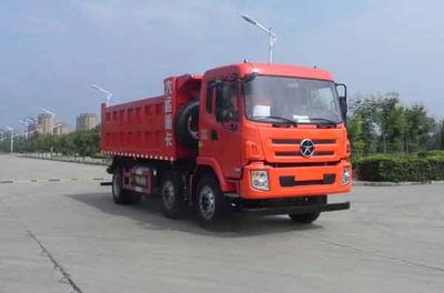 Dayun  CGC3250N5SBA Dump truck