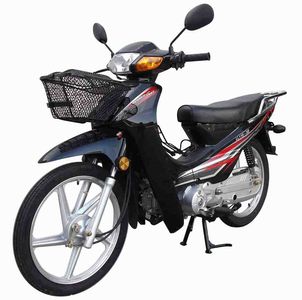 Linlong  LL1103D Two wheeled motorcycles