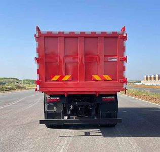 Dayun  DYQ3253D6CF Dump truck