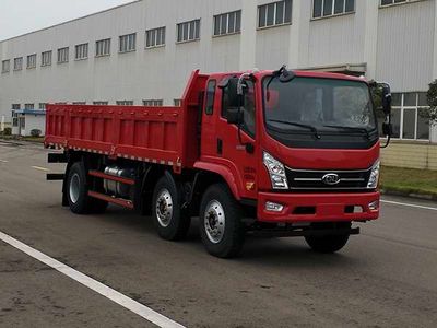 Nanjun  NJA3240PPF56V Dump truck