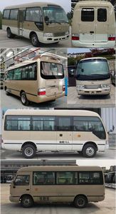 Jinlong  XMQ6606AYD5D coach