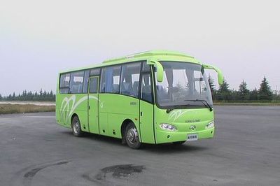 Jinlong  XMQ6886HFS coach