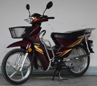 Lifan  LF1107X Two wheeled motorcycles