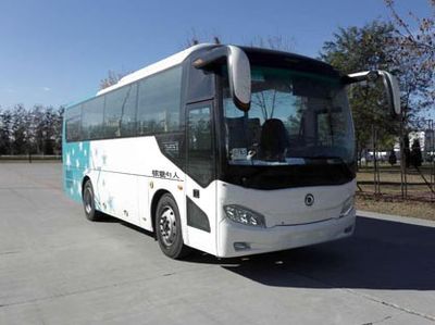 Shenlong brand automobile SLK6903ALD4 coach