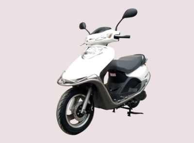 Feiying  FY110T2A Two wheeled motorcycles