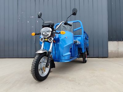 Jiayue  JY1000DZH2 Electric tricycle