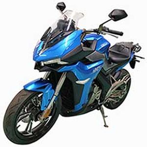 Shengshi  ZT300X2 Two wheeled motorcycles