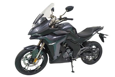 Shengshi  ZT300X2 Two wheeled motorcycles