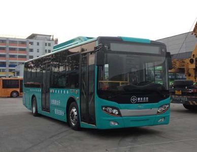 Wuzhoulong  FDG6105EVG Pure electric city buses