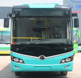 Wuzhoulong  FDG6105EVG Pure electric city buses