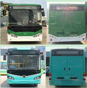 Wuzhoulong  FDG6105EVG Pure electric city buses