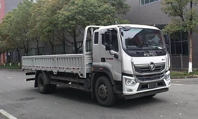 Foton BJ1126VGPFKAD1Truck