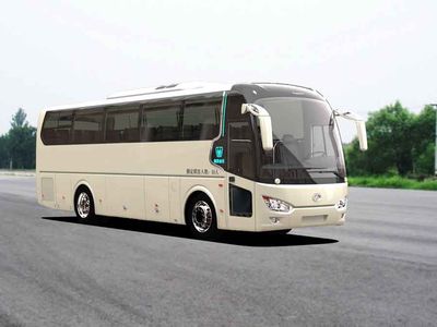 Dongyu  NJL6107Y coach