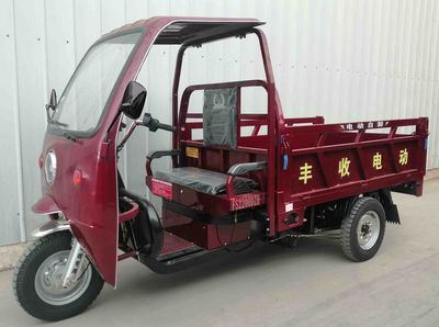 Fengshou  FS2200DZH8B Electric tricycle