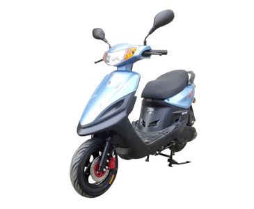 Feihu  FH110T6 Two wheeled motorcycles