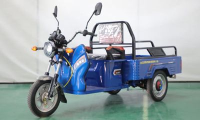 Sulida  SLD1200DZH6 Electric tricycle