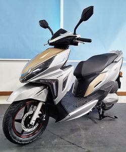 Wangjiang  WJ125T36 Two wheeled motorcycles