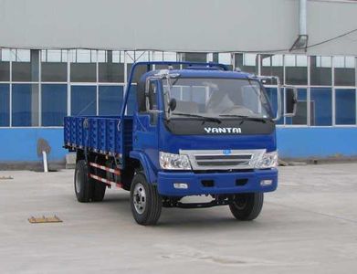 Yantai  YTQ1061DF0 Truck