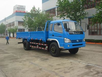 Shifeng SSF1110HHP881Truck