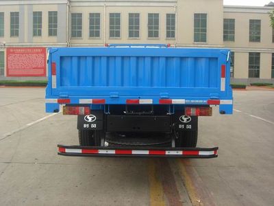 Shifeng  SSF1110HHP881 Truck