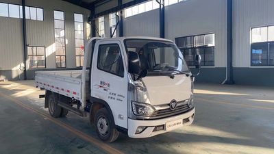 Foton  BJ1044V9JA5AA1 Truck