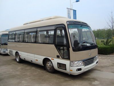 Shuchi  YTK6730H coach