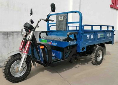 Fengshou  FS2200DZH12 Electric tricycle