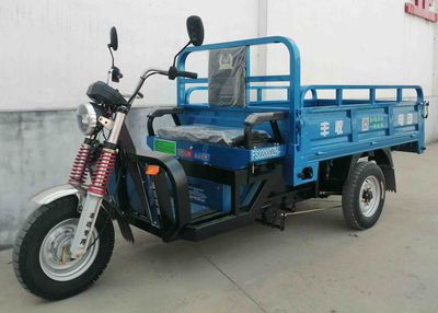 Fengshou  FS2200DZH12 Electric tricycle