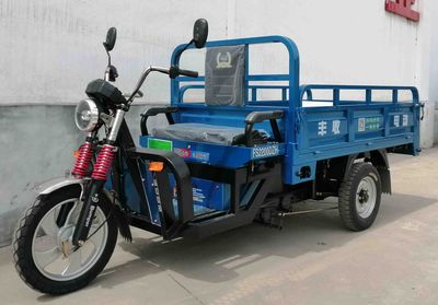 Fengshou  FS2200DZH12 Electric tricycle