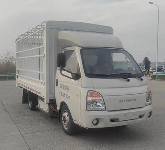 Skyworth NJL5033CCYEVC1 Pure electric grille transport vehicle