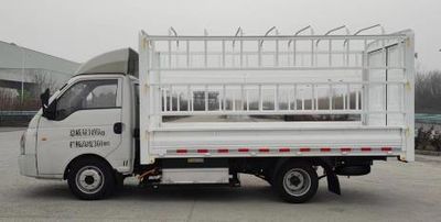 Skyworth NJL5033CCYEVC1 Pure electric grille transport vehicle