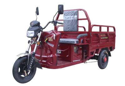 Dayun  DY1200DZH60A Electric tricycle