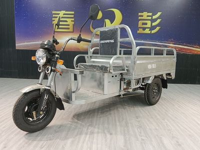 Chunpeng  CP1500DZH8 Electric tricycle